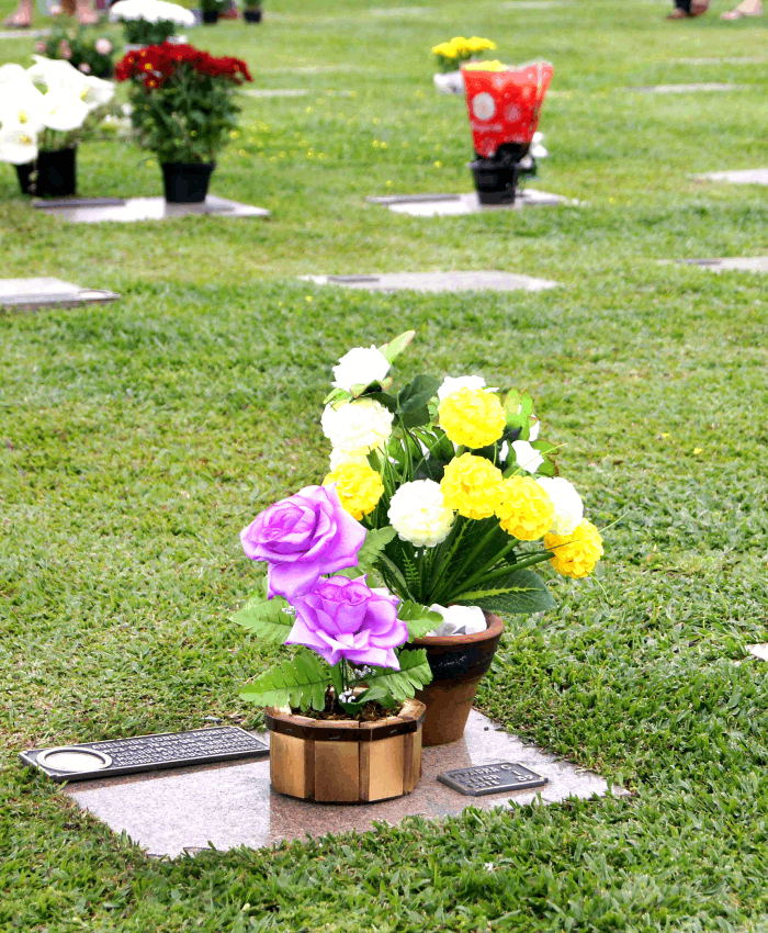 Banner Página Home 2 - Memorial da Vida