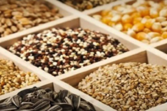 Produtos Naturais